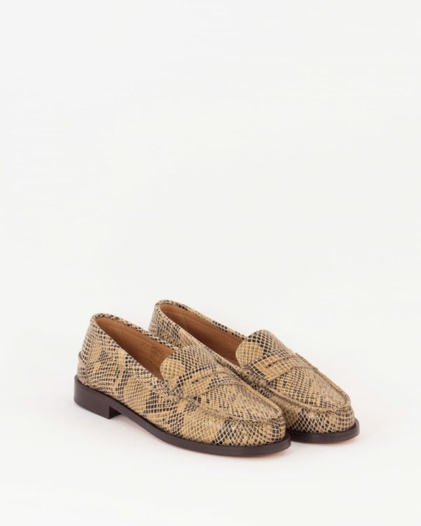 Frogwear.shop07f41e21da 1