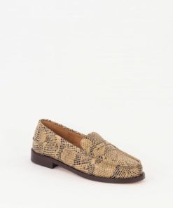 Frogwear.shop07f41e21da 2