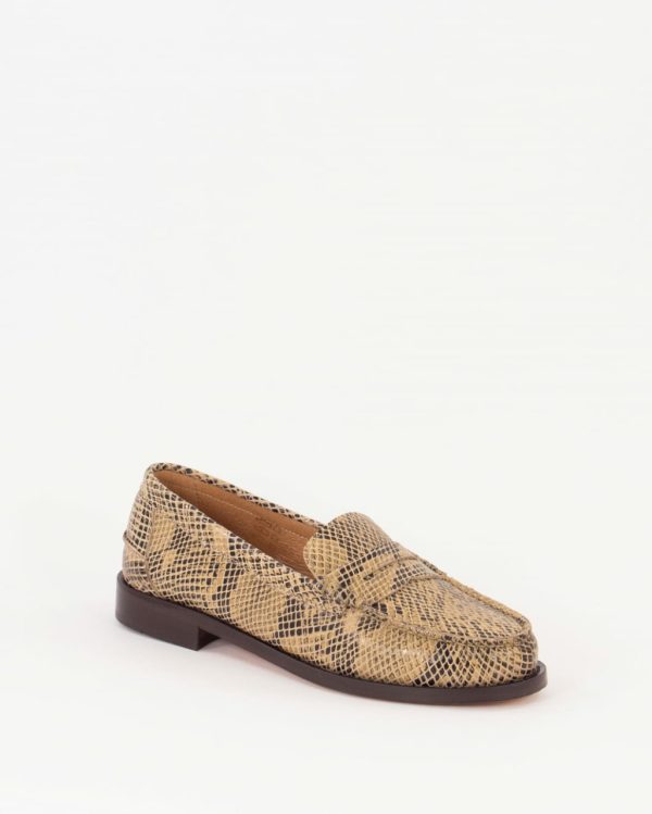 Frogwear.shop07f41e21da 2