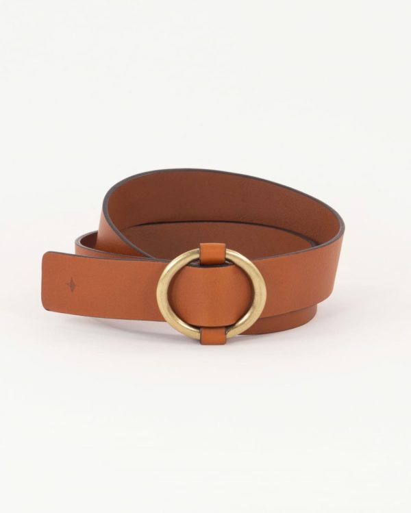 Frogwear.shopa3cd2c1925 1