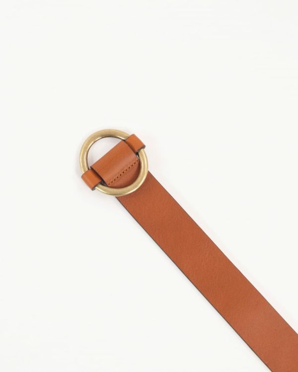 Frogwear.shopa3cd2c1925 5