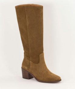 Frogwear.shopb18f4e8a4c 2